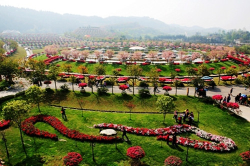 熊谷公司2019春游花舞人间梨花溪